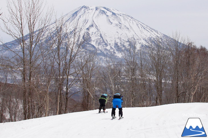 DYNASTAR SKI 